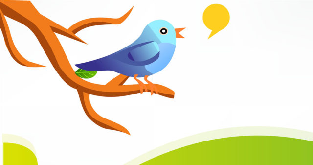 twitter