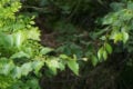 ISO 640: Bildrauschen in Maßen