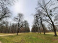 ... spannenderes Bild im Ultraweitwinkel